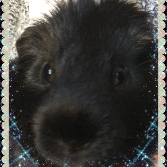 Meet your Posher, Cathy - Picture 1 of 1